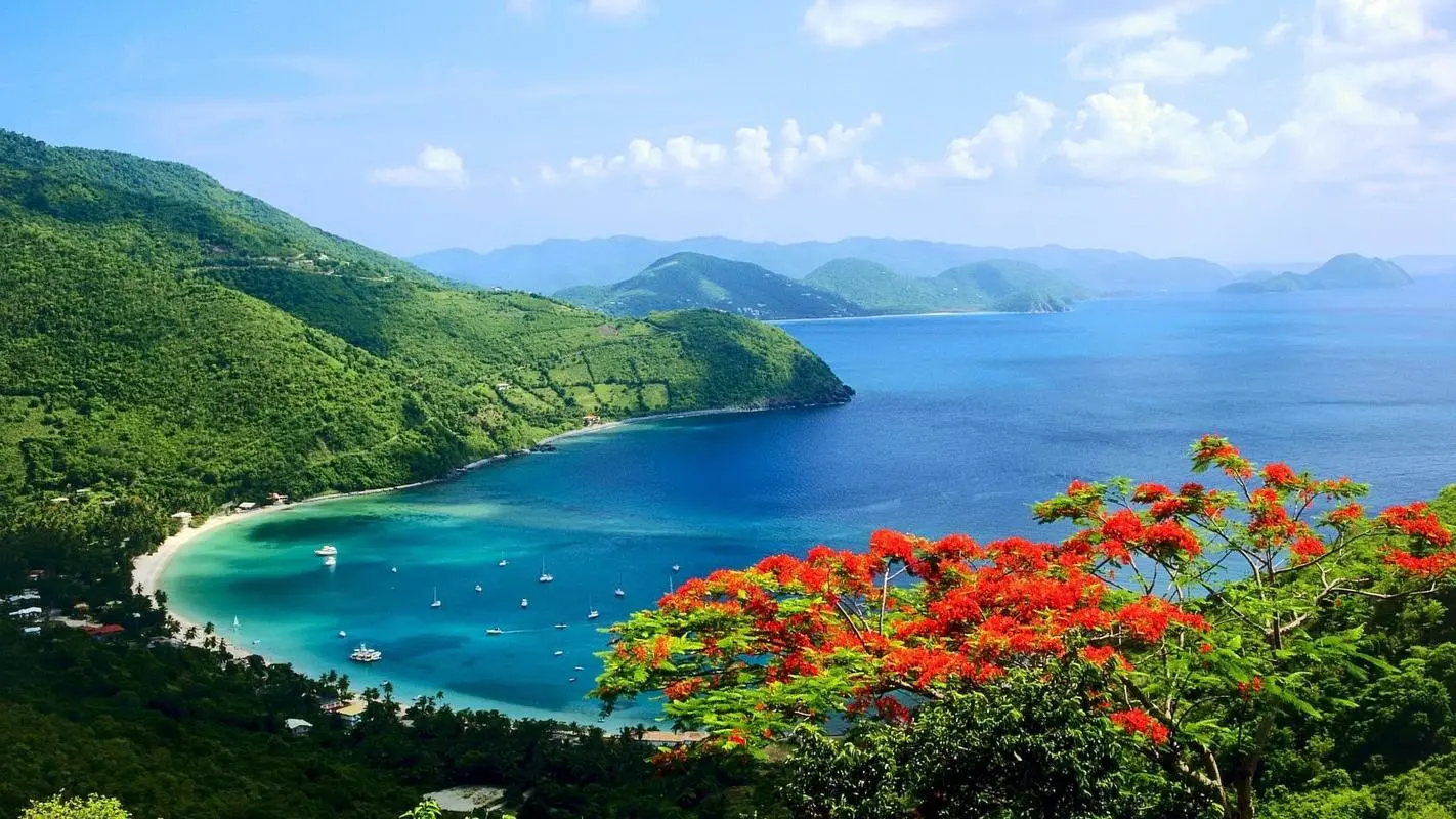 网络化无人化智能